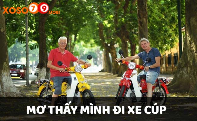 Mộng thấy mình đi xe cup